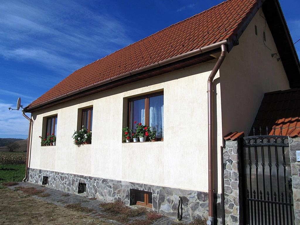 Casa Simion Villa Sibiu Exteriör bild